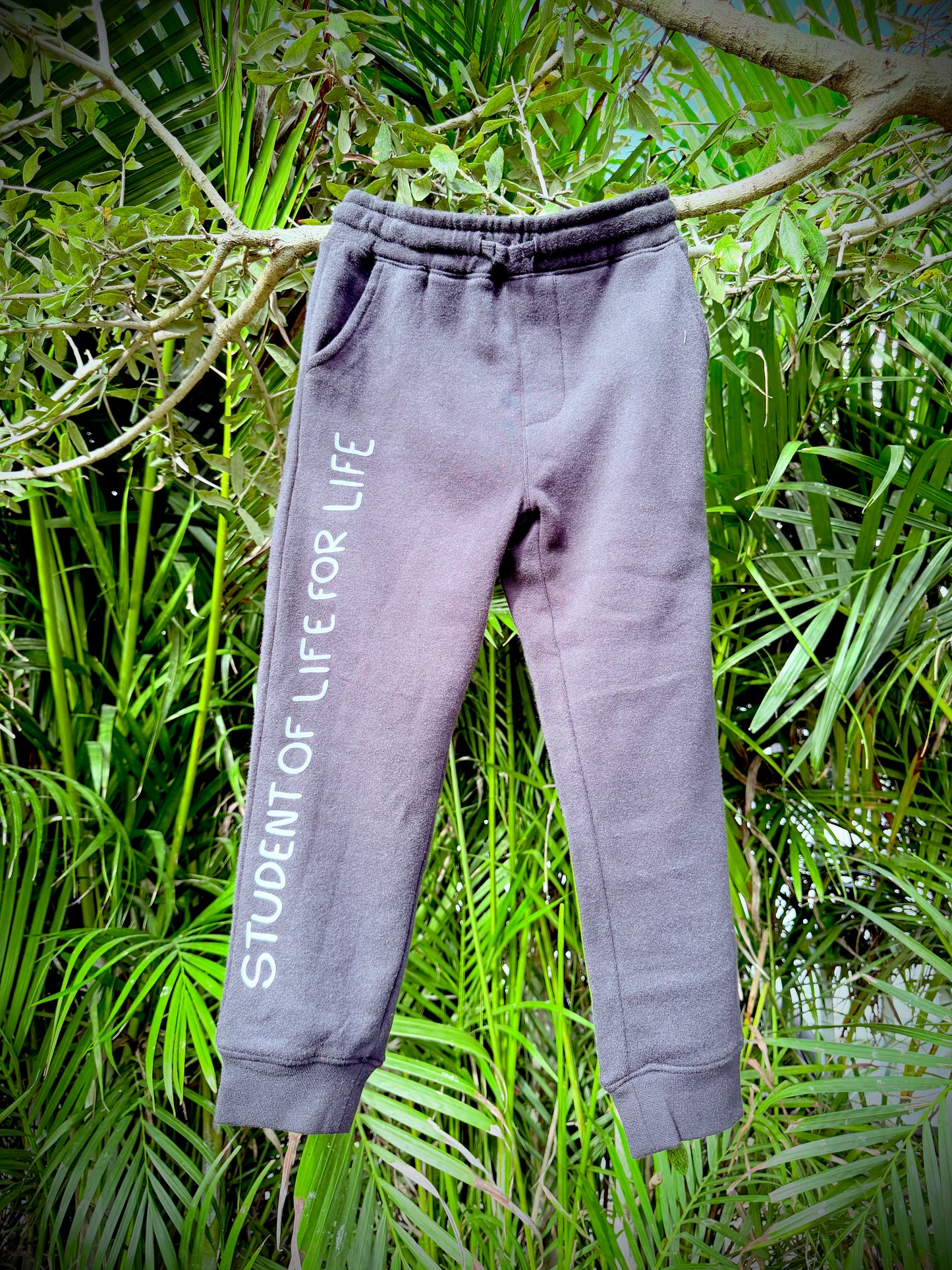 SOL Joggers